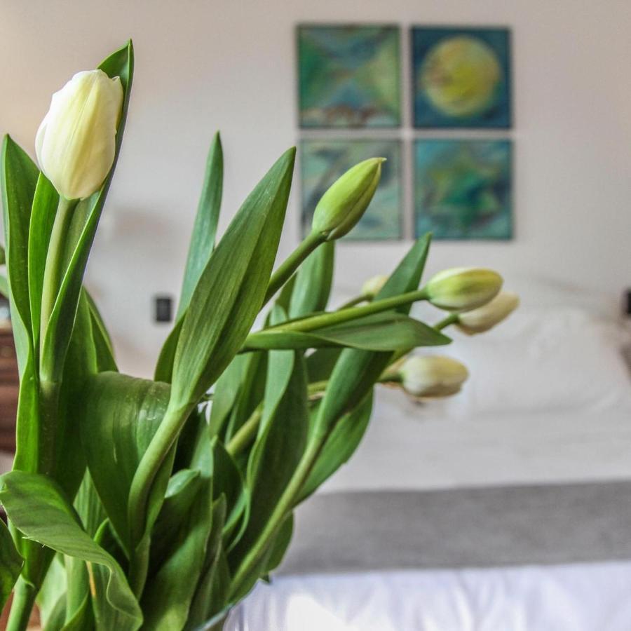 La Del Pontefice - Luxury Hotel 4*